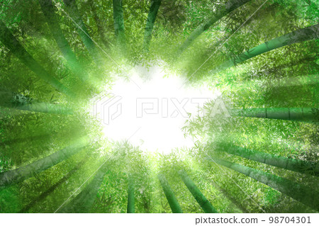 Bamboo grove that I looked up from the bottom 98704301