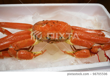 Fresh Matsuba crab in a box 98705506