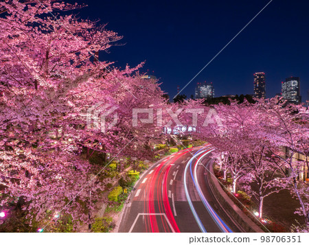Cherry blossoms lit up at night in front of Tokyo Midtown Garden Terrace, Minato-ku, Tokyo in March Cherry blossoms lit up at night in front of Tokyo Midtown Garden Terrace, Minato-ku, Tokyo in March 98706351