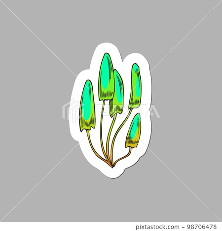 Toxic green mushrooms, hand drawn sketch vector illustration isolated on gray background. 98706478