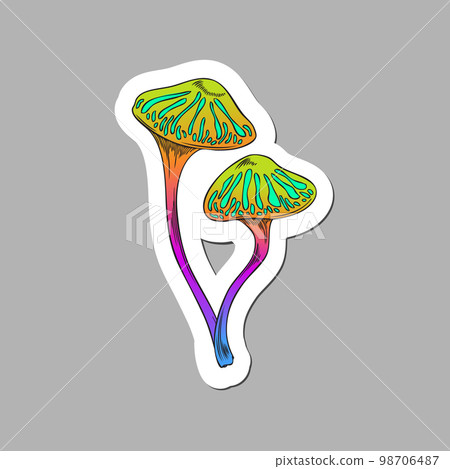 Colorful fairy mushrooms, purple and green sketch vector illustration isolated on gray background. 98706487