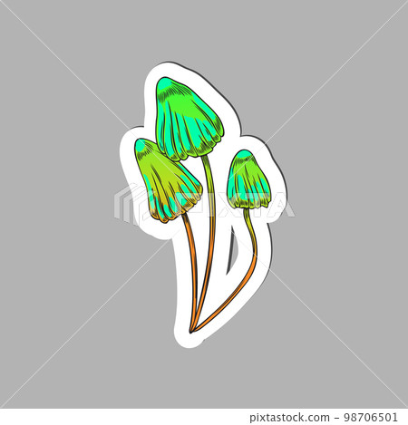 Sticker or label design with poisonous mushrooms bright vector isolated. 98706501
