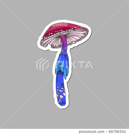 vector illustration isolated on white background. vector illustration isolated on white background. 98706502