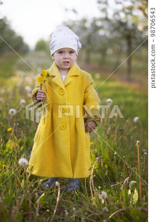 Child in the spring garden. Funny little girl in a yellow coat is holding dandelions. Child in the spring garden. Funny little girl in a yellow coat is holding dandelions. 98706543