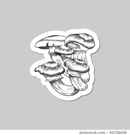 Sticker design with mushrooms hand drawn engraving vector illustration isolated. 98706606