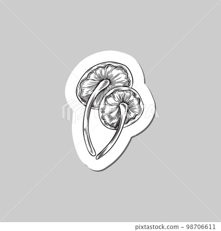 Hand drawn magic mushrooms in sketch style, sticker vector illustration isolated on gray background. Hand drawn magic mushrooms in sketch style, sticker vector illustration isolated on gray background. 98706611