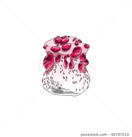 Mushroom with drops of poison or toxic substance vector illustration isolated. Mushroom with drops of poison or toxic substance vector illustration isolated. 98707010