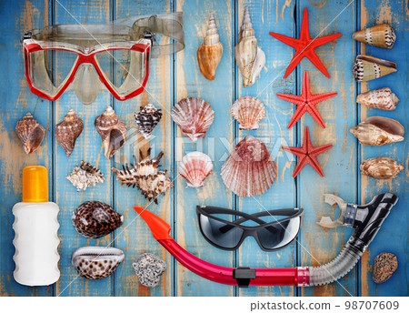 Seashell 98707609