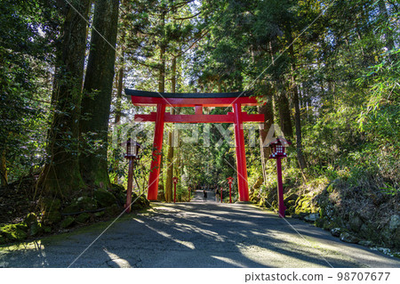 [神奈川縣] 被大自然包圍的箱根神社 98707677
