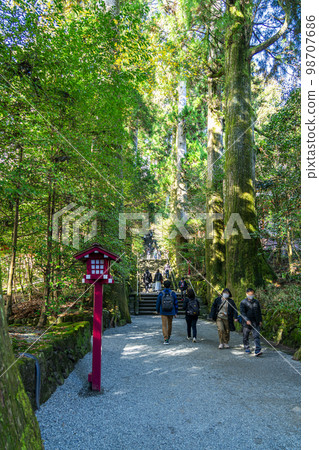 [神奈川縣]被大自然包圍的箱根神社的石階 98707686