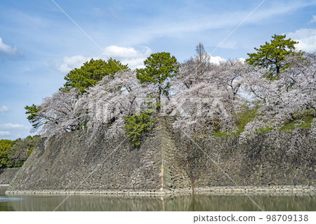 Spring Nagoya Castle Spring Nagoya Castle 98709138
