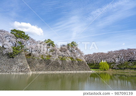 Spring Nagoya Castle Spring Nagoya Castle 98709139