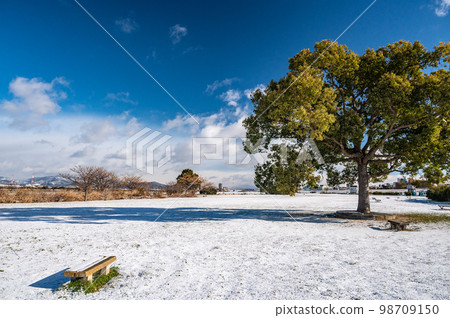 Snowy Neyagawa City Yodogawa River Park Snowy Neyagawa City Yodogawa River Park 98709150