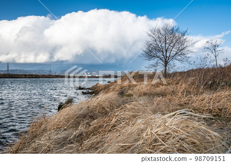 冬天的淀川水邊風景 冬天的淀川水邊風景 98709151