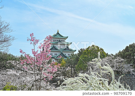 春天名古屋城堡 98709170