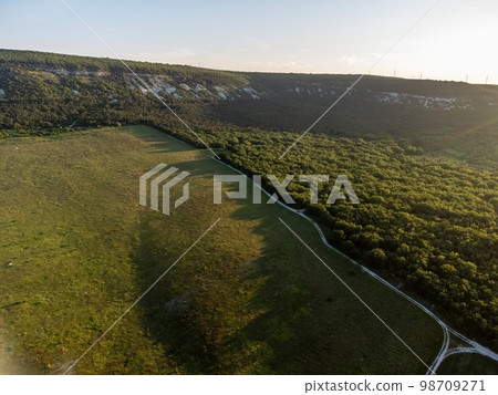 Aerial view on green wheat field in countryside. Field of wheat blowing in the wind on sunset. Young and green Spikelets. Ears of barley crop in nature. Agronomy, industry and food production. 98709271