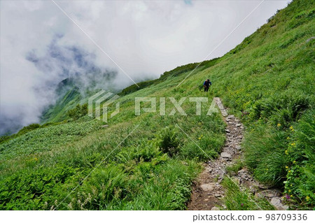 Mt. Kariba 6th Station 草地和山路 98709336