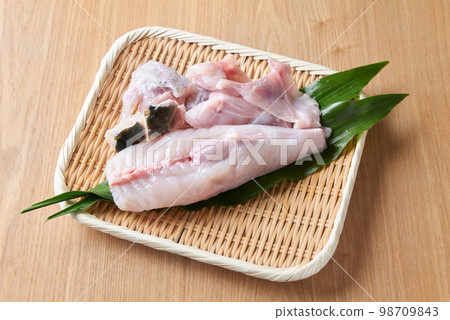 Migaki Tiger Pufferfish Migaki Tiger Pufferfish 98709843