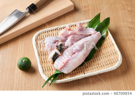 三垣虎河豚 三垣虎河豚 98709854
