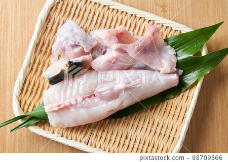 三垣虎河豚 三垣虎河豚 98709866