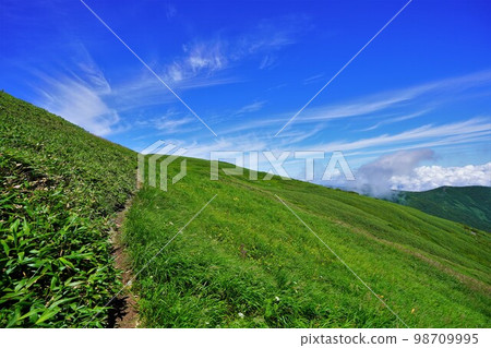 Kariba summit trail and blue sky 98709995
