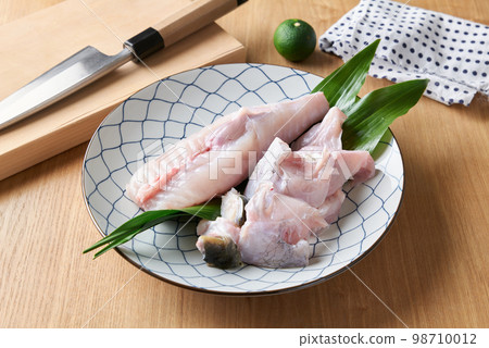 三垣虎河豚 98710012