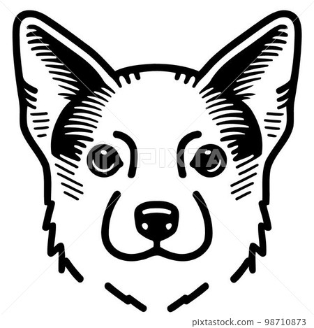 Cute dog domestic animal head Cute dog domestic animal head 98710873