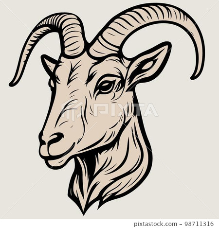 animal head domestic goat animal head domestic goat 98711316