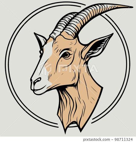 animal head domestic goat 98711324