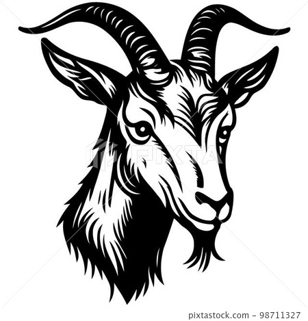 animal head domestic goat 98711327