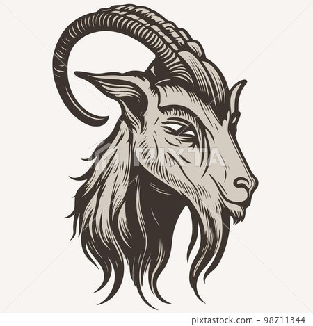 animal head domestic goat 98711344