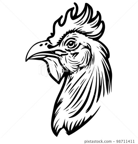 chicken bird animal head hen seen from the side 98711411