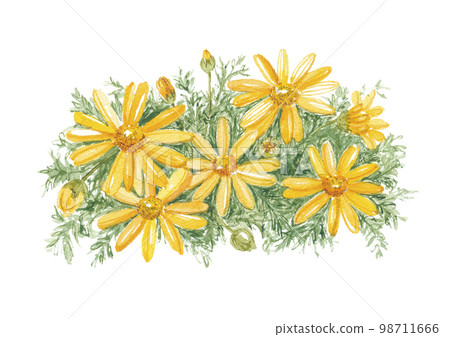Daisy 98711666