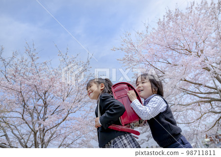 Brothers and sisters entering kindergarten walking along the cherry blossom promenade Brothers and sisters entering kindergarten walking along the cherry blossom promenade 98711811