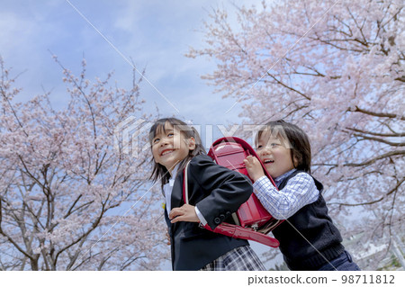 Brothers and sisters entering kindergarten walking along the cherry blossom promenade Brothers and sisters entering kindergarten walking along the cherry blossom promenade 98711812