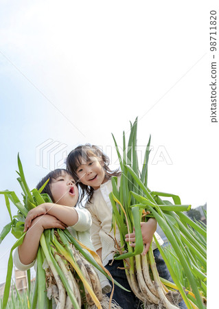 在田裡收穫大蔥的兄弟姐妹 98711820