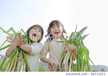 在田裡收穫大蔥的兄弟姐妹 98711821