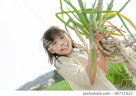 Girl with green onions harvested in the field Girl with green onions harvested in the field 98711822