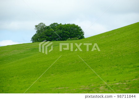 Biei scenery in June 98711844