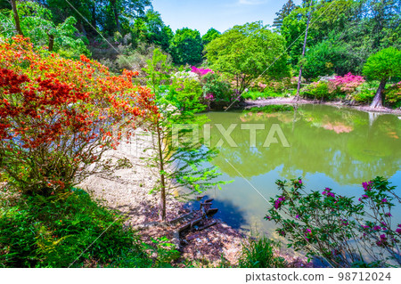 帶池塘的新鮮綠色和杜鵑花私人植物園 帶池塘的新鮮綠色和杜鵑花私人植物園 98712024
