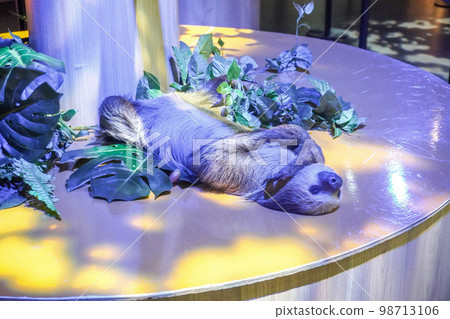 DMM Kariyushi Aquarium 98713106
