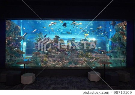 DMM Kariyushi Aquarium 98713109