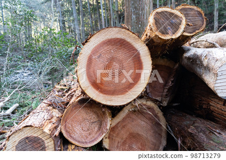 剪切日誌 剪切日誌 98713279