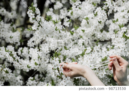gentle spring perfume gentle spring perfume 98713530