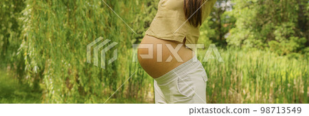 Pregnancy. Pregnant woman tummy closeup of baby bump belly in beautiful nature forest park. Healthy happy pregnancy and sustainable eco friendly organic environment. Panoramic banner 98713549