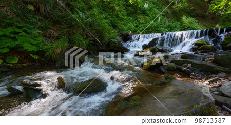 water stream in the forest. scenery with small cascades and mossy rocks. sunny morning in summer water stream in the forest. scenery with small cascades and mossy rocks. sunny morning in summer 98713587