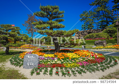春天開滿鮮花的城鎮建設高松城玉藻公園(香川縣高松市) 春天開滿鮮花的城鎮建設高松城玉藻公園(香川縣高松市) 98714564
