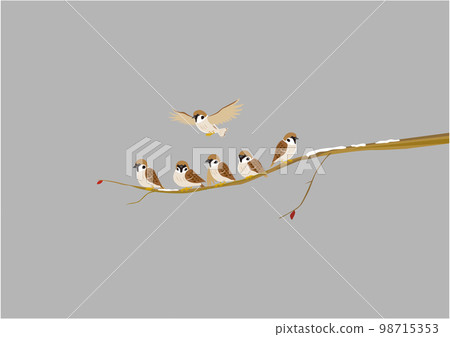 麻雀02雪多雲 98715353