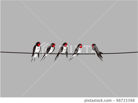 swallow 04 electric wire cloudy sky 98715398