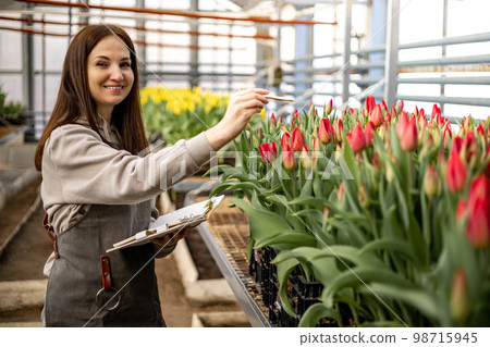 Female agronomist checking cultivation fresh growing white red tulips making notes Female agronomist checking cultivation fresh growing white red tulips making notes 98715945